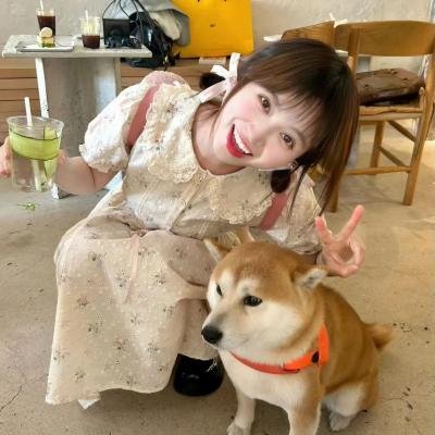 爱在猫咪疗愈时 封面